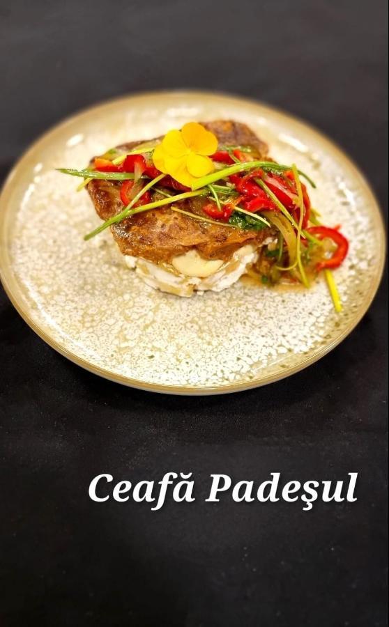 Hotel Padesul Faget  Bagian luar foto